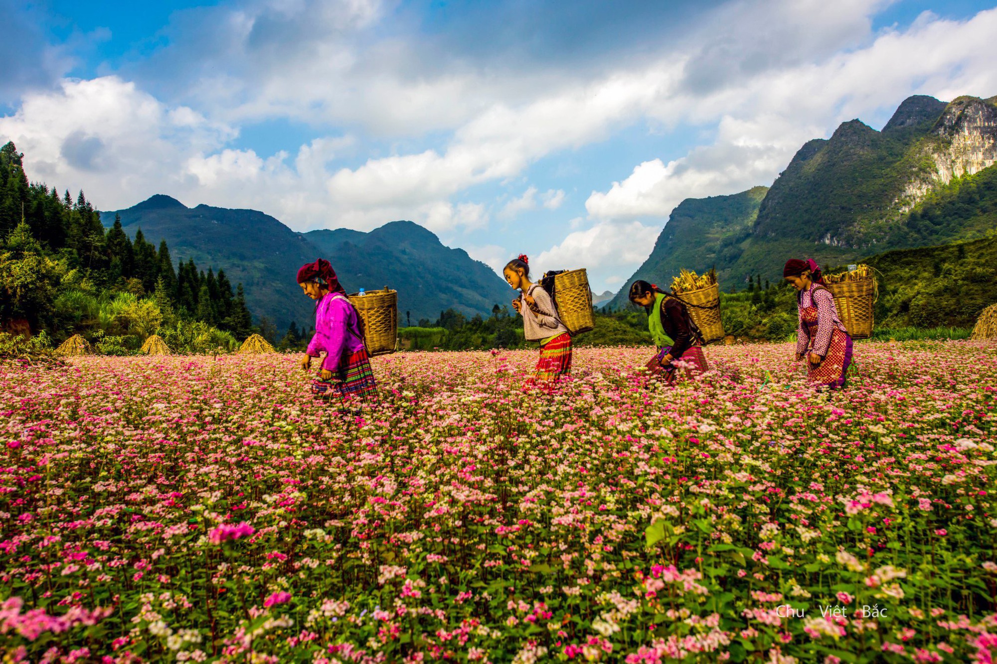 Essential Vietnam Travel Tips Checklist