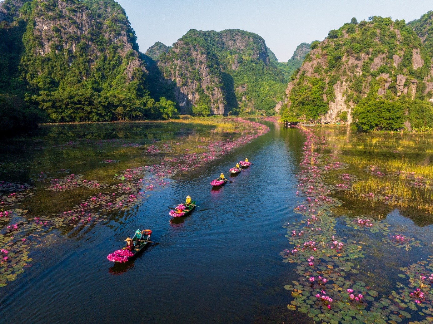 tam coc boat
