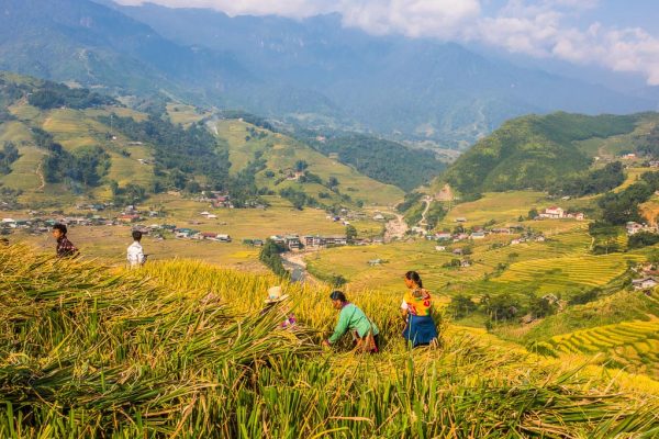 4 days. Hanoi City & Sapa Mountain Escape