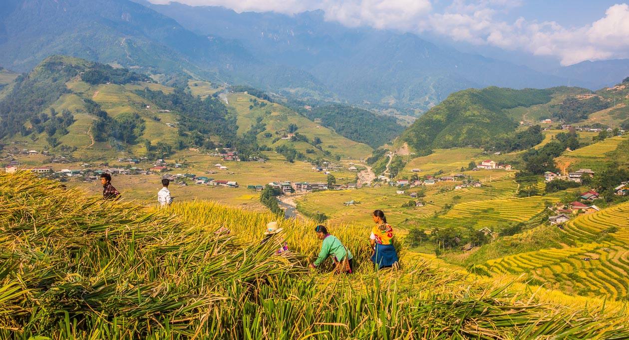 4 days. Hanoi City & Sapa Mountain Escape