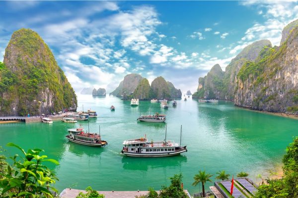 Vietnam visa for Indians: Step-by-step application guide for Indian travelers