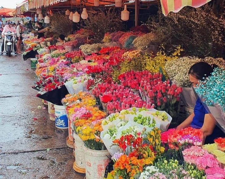 Visit Local Markets