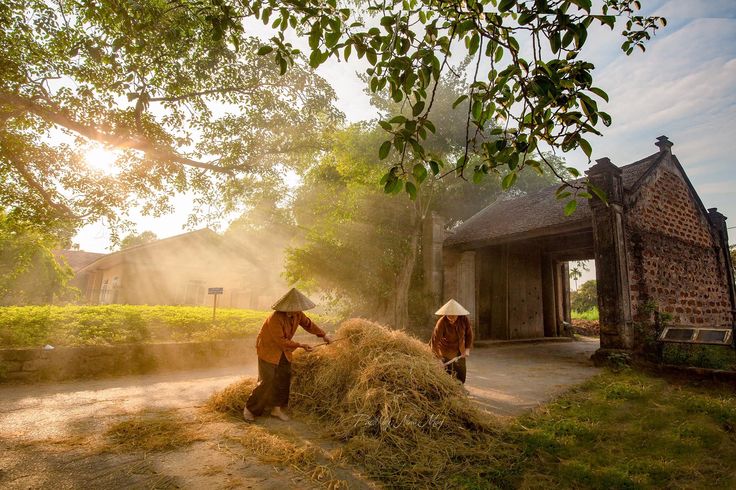 Duong Lam ancient village