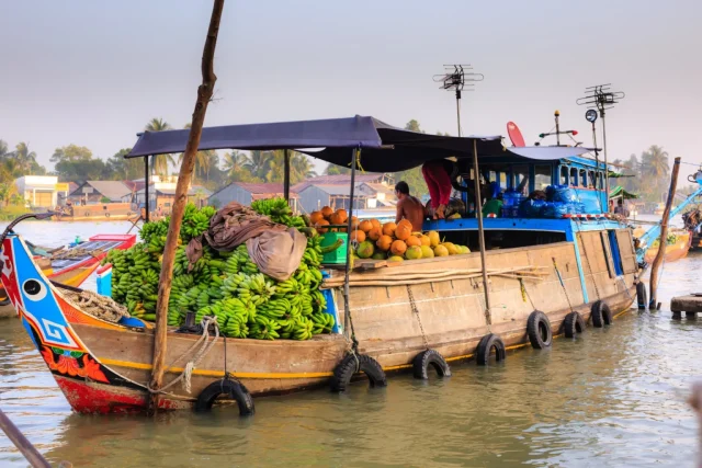 Mekong Delta