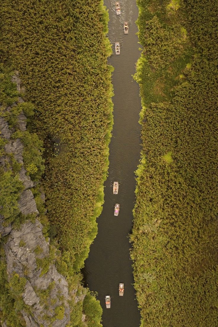 Discover Van Long Nature Reserve