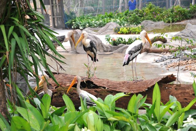Phu Quoc