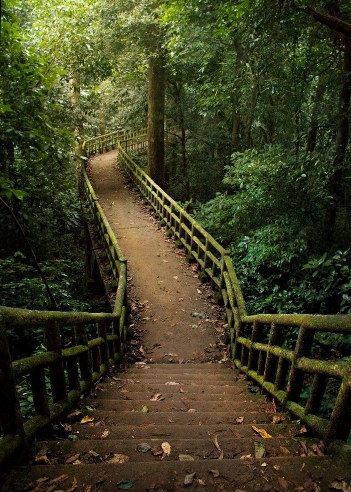 Hike or Bike in Cuc Phuong National Park