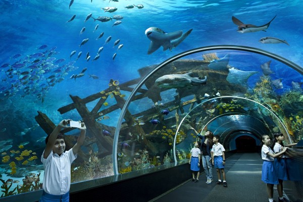 Hon Mieu & Tri Nguyen Aquarium
