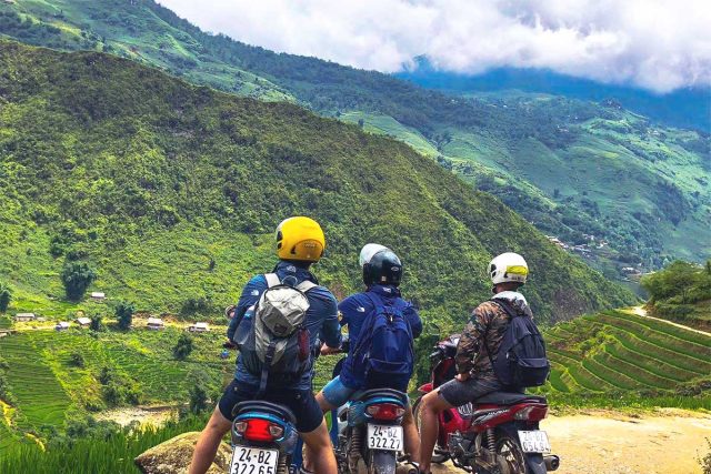 Sapa