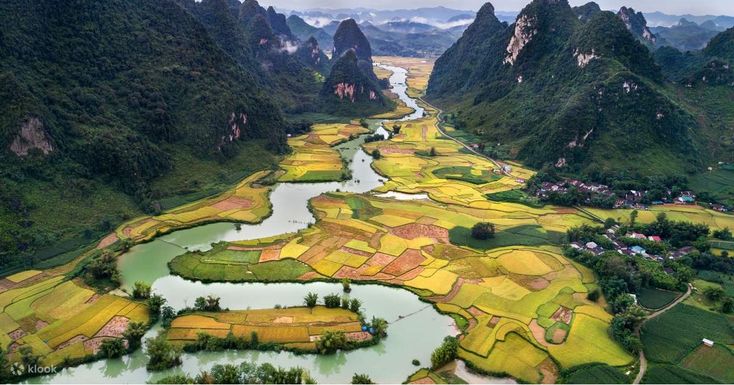 ninh binh rice fiels