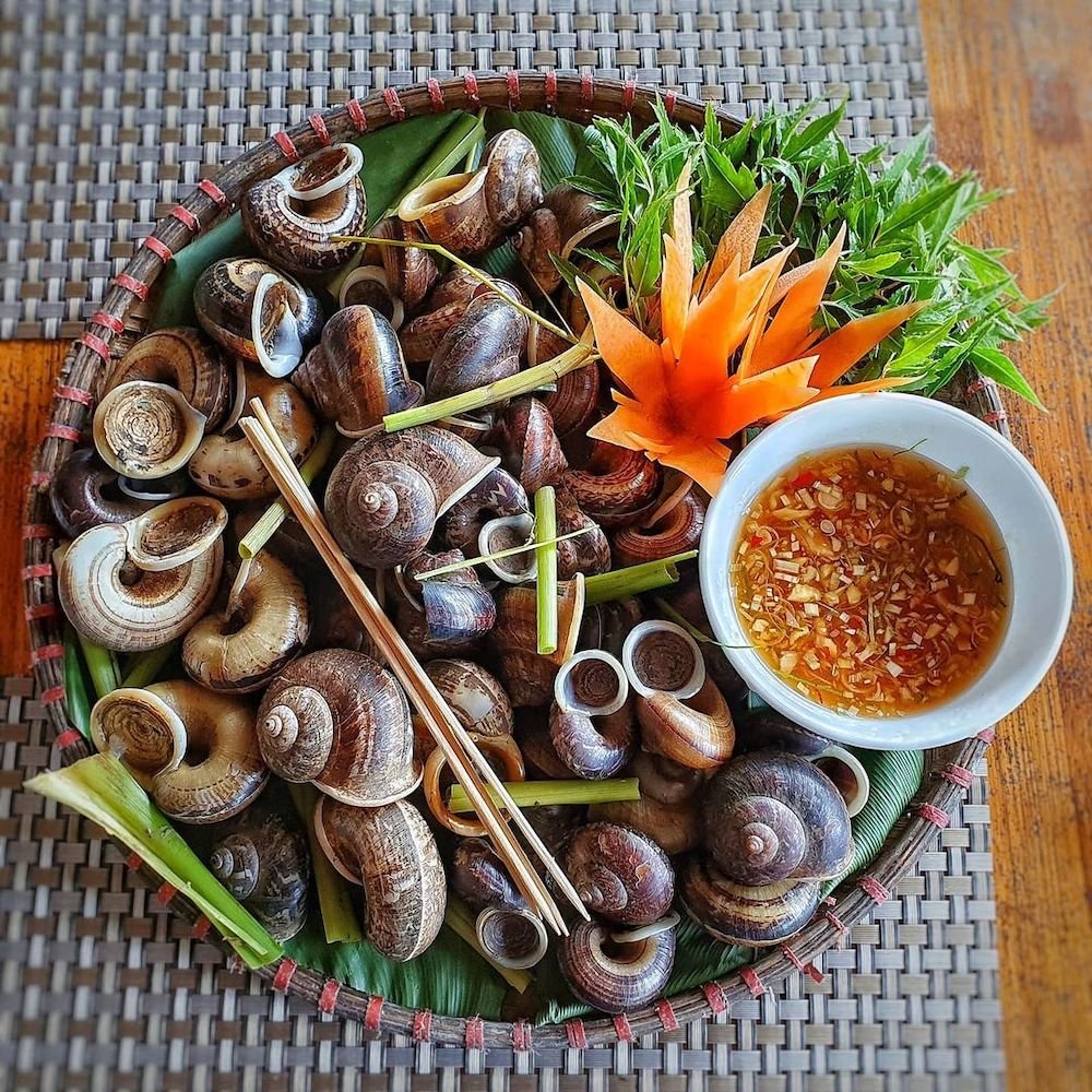 Mountain Snails (Ốc Núi Ninh Bình)